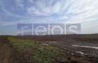 VANZARE TEREN 13.300 MP | TUNARI | - 4