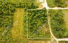 Teren intravilan 3900 mp Porumbacu de Sus, Sibiu - 6