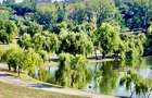 Teren 680 mp langa parcul Tineretului - 5