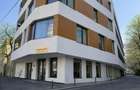 Spatiu comercial 230 mp, Bld. Ferdinand, parter cladire noua - 3