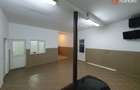 Comision 0% Afacere la cheie: service auto de inchiriat 246 mp utili, Sag - 9