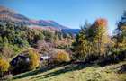 Teren 3600 mp langa Piatra Neamț, la 5 min de Shopping City - 3