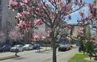 Apartament 3 camere NOU Targoviste   Class Park Residence - 5