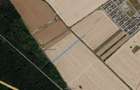 VANZARE 9.525 MP. - BUFTEA - PADUREA RAIOASA - 2