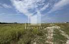 Teren 1000 mp | Zona Balta Blonda