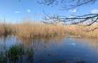 Teren 2000 mp de vânzare – Comana, deschidere la lac, aproape de Parcu - 13