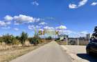 Corbeanca 5000 mp | deschidere 22 m la drum asfaltat | padure | utilitati - 10
