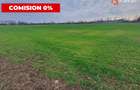 COMISION 0% Teren intravilan industrial 28.395 mp la sosea in Sag  - 2