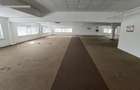 Spatii birouri/servicii - 29