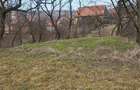 Teren pentru 2 case in Mera - 5