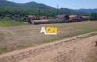 Teren intravilan la asfalt , 515 mp, Gura Ampoitei - 1