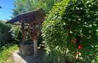 Domeniu Privat - Rosu/ Chiajna - Ilfov - 10