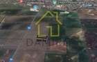 Teren Intravilan 5000 mp Buftea Tamasi - 3