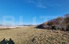 Teren extravilan, 5600mp, ideal investitie de viitor, zona Vidului, Floresti - 2