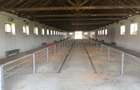 Ferma complet utilată – 30 ha teren comasat Timiș – Comuna Biled