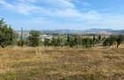 Teren intravilan de vanzare, 1400 mp, zona Zavoi - 1