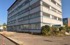 Spații pentru producție de închiriat | 706,63 m²/nivel | Curtea de Argeș - 2