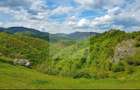 Proprietate cu potențial pensiune – sat Masca, 45 km Cluj - 10