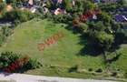 Teren intravilan de vânzare în Sfântu Gheorghe, str. Pădurii - 4