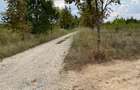 Vand teren intravilan 3774 mp Pădurea Scrovistea Peris Balteni - 5