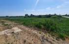 Teren intravilan la intrare în Vetiș – 12.216 mp - 4