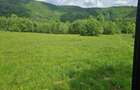 Oportunitate Investitie! Teren Intravilan, 4411 mp, Valea Ierii - 1