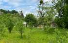 Breaza - Ocina de sus - 4200 mp - 10