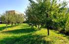 Casa 3 camere, teren 3625 mp, toate utilitatile, Sacele, Brasov - 4