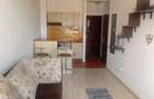 Inchiriez apartament 2 cam zona cocorilor - 14