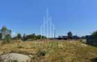 TEREN INTRAVILAN DE VÂNZARE – VALEA AVRIGULUI | 1.913 MP - 8