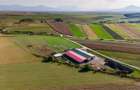 FILM! Zona extinsa, teren mixt,18.000 mp, ideal agro-investitii, Rotbav, Brasov - 14