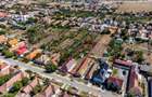 Casa 4 camere - Teren 1603mp - Livada, Arad - COMISION 0% - 8
