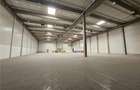 Spatiu Industrial - 4200 mp - Logistica - Productie - Depozitare - Distributie - 7
