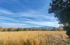 5.800 mp extravilan, Sohodol-Bran, retreat, cabane, off-grid ecoturism, panorama - 10