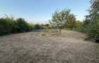Teren de vanzare in Lilieci Bacau - 1