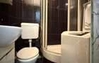 Apartament cu o camera, 17 mp utili, etaj 4, mobilat-Buziasului - 6