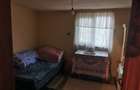 De vanzare casa in Argetoaia cu teren 7.000 mp - 9