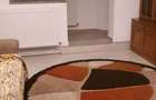 apartament 2 camere mioritei - 4