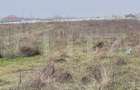 Teren 3.800 mp, deschidere 13.5m, zona Secui - 1