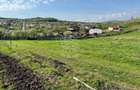 Teren 3300 mp-investitie, case de vacanta, agricultura-Valea Sigmirului - 1