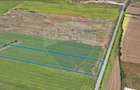 Teren comercial 5 ha, PUZ aprobat, acces direct Centura Nord Arad - 3
