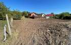Teren, Chicerea-Tomesti, 451mp, intravilan - 4