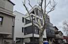 Vila | Parcul Carol | Rezidential/Comercial | - 20