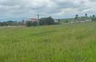 Vand teren extravilan 8.600 mp in Selimbar / jud. Sibiu - 5