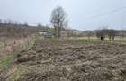 Teren 2.038 mp + Casă 50 mp de vânzare – Sat Luncsoru, Com. Ghercești - 18