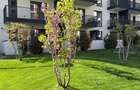 Apartament 3 camere metroul Nicolae Teclu la 3 minute TERASA 14.50 mp - 9