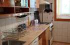 Inchiriere Apartament 3 Camere Crangasi - 9
