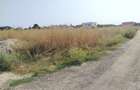 Teren intravilan, 500 mp, zona Selgros - 2
