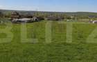 Teren Intravilan ideal pentru constructie case sau investitie in timp - 2
