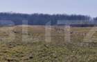 Teren intravilan, 10000 mp, zona Robanesti - 1